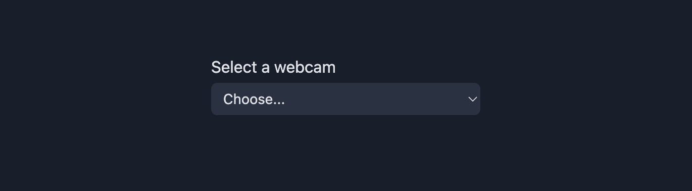 Choose a webcam source
